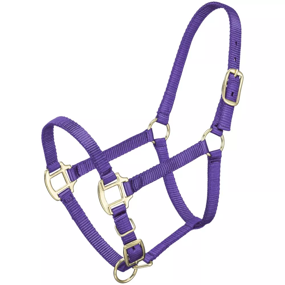 Tough1 Premium Halter – Weanling