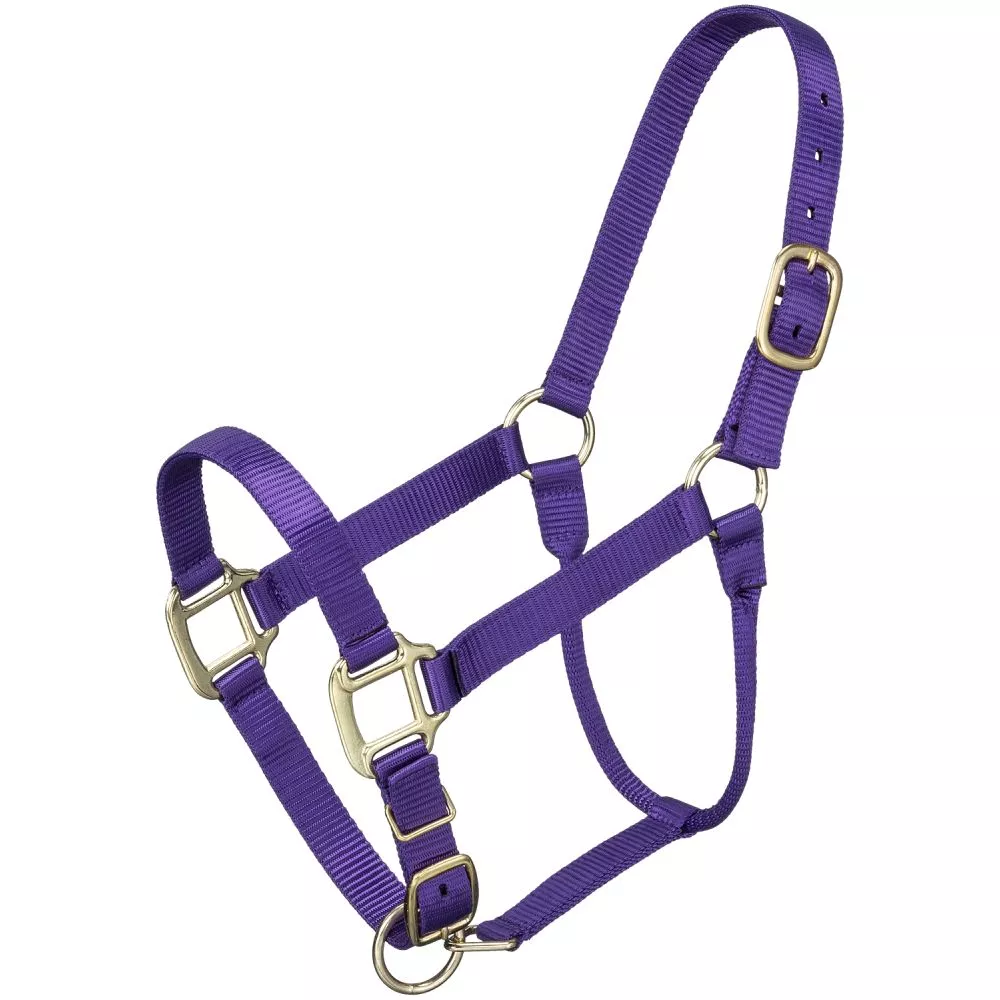 Tough1 Premium Halter – Yearling