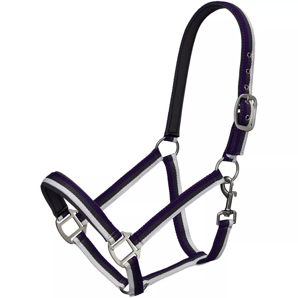 Tough1 Striped Nylon Halter with Padding