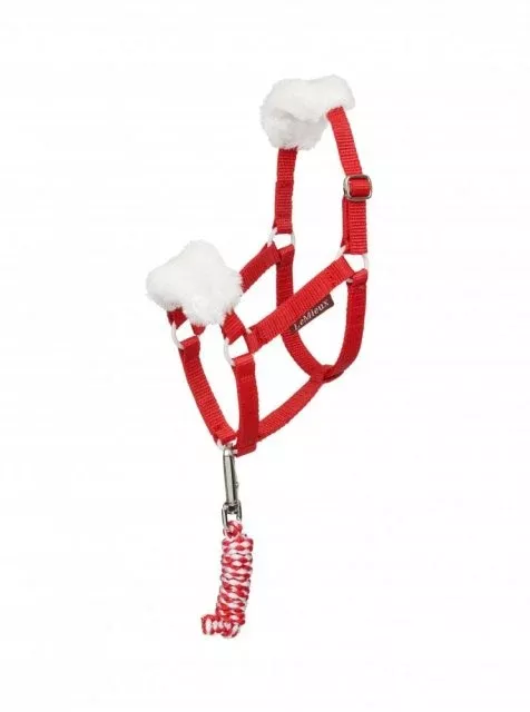 Toy Pony Christmas Halter & Lead