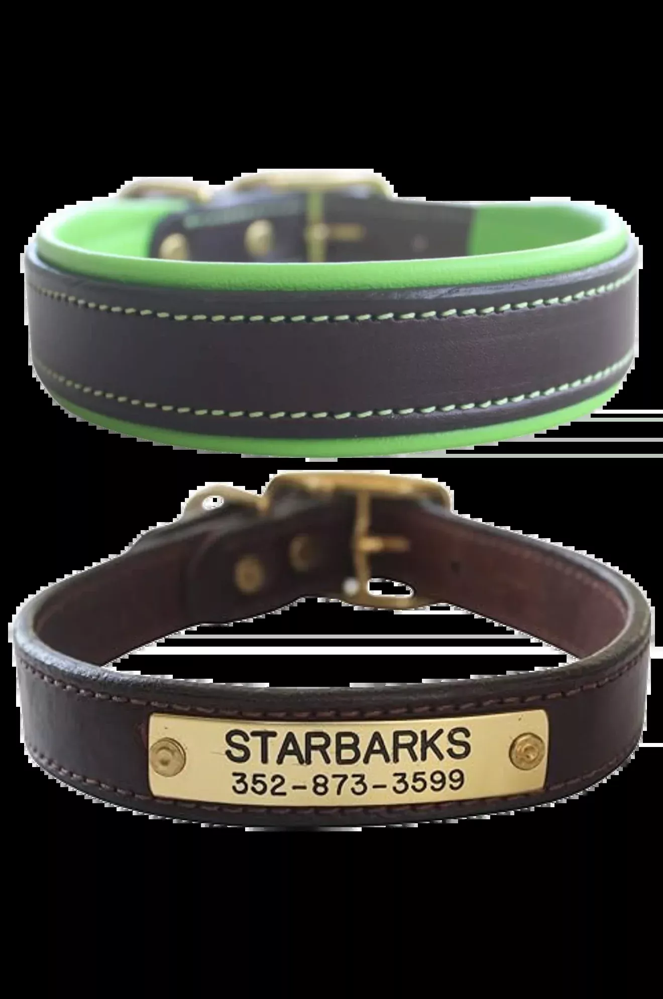 TS Custom Leather Dog Collar