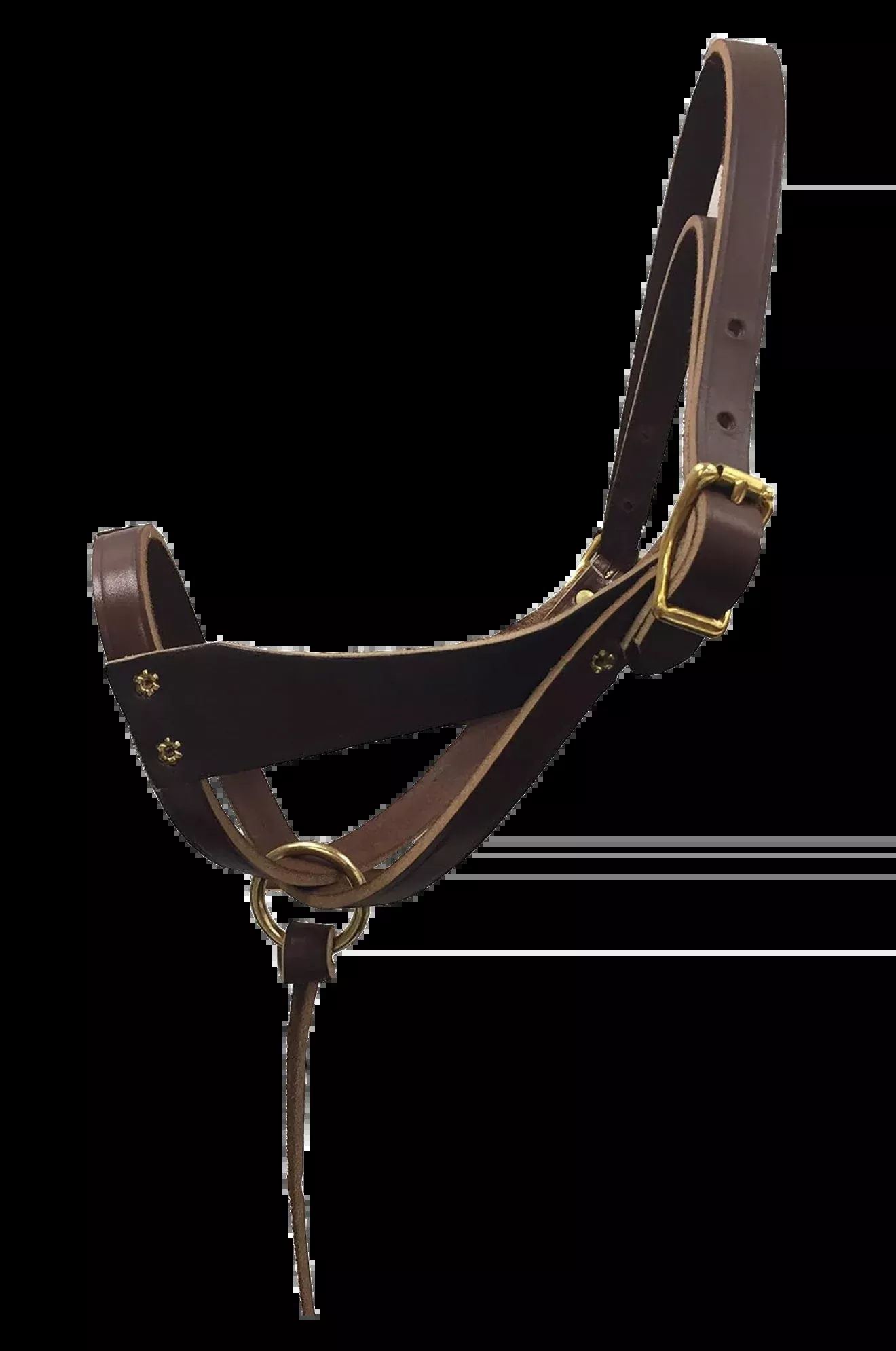 TS Leather Figure 8 Foal Halter