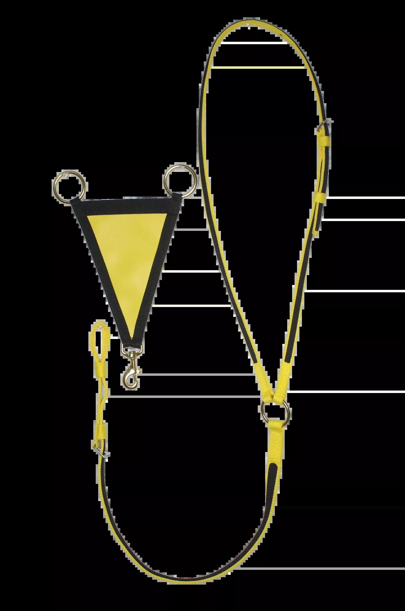 TS Martingale With Fork