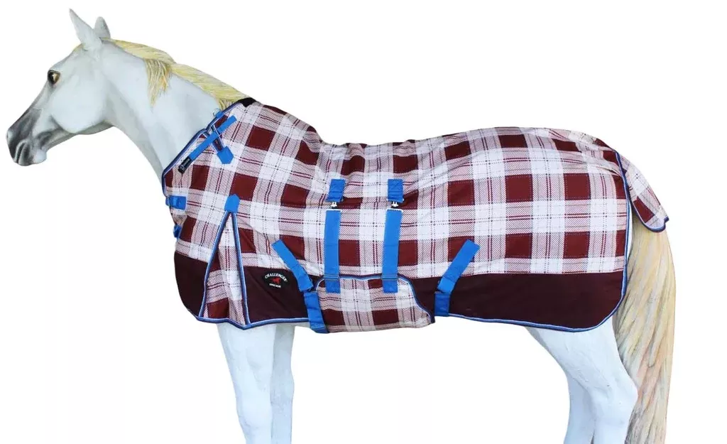 Turnout Lightweight Bellyband Rain Horse Winter Sheet3BSheet