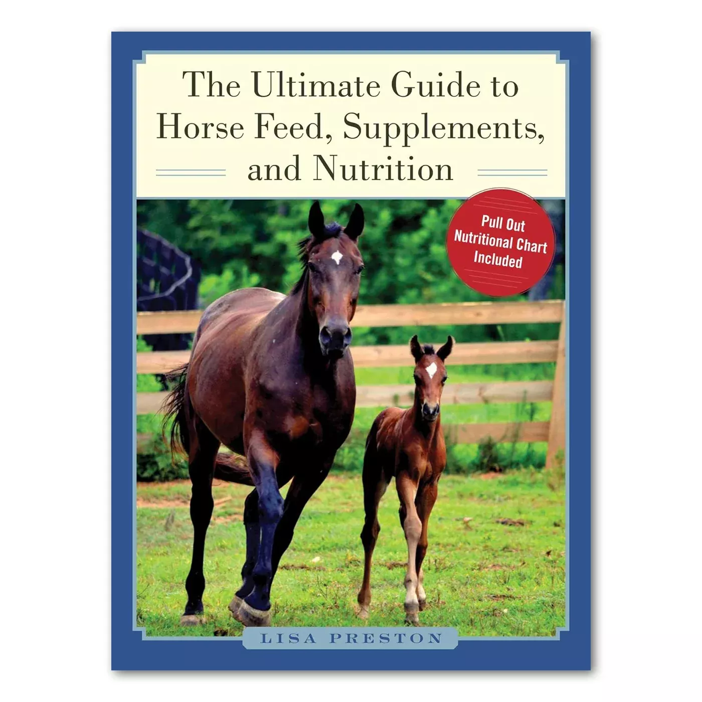 The Ultimate Guide To Horse Feed, Supplements & Nutrition