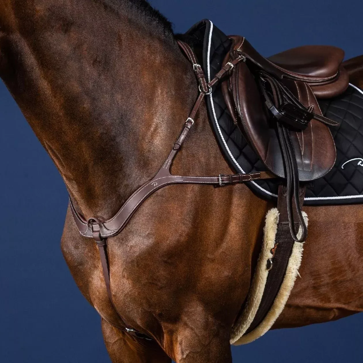 US Collection Anatomic Breastplate
