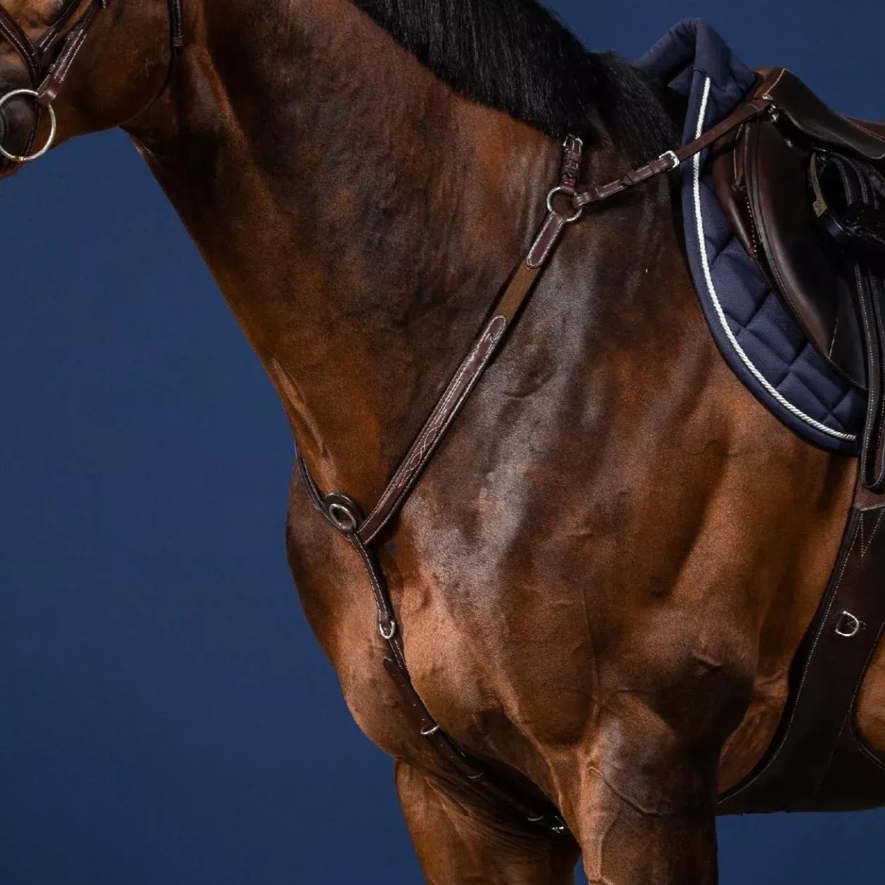 US Collection Breastplate with Bridge