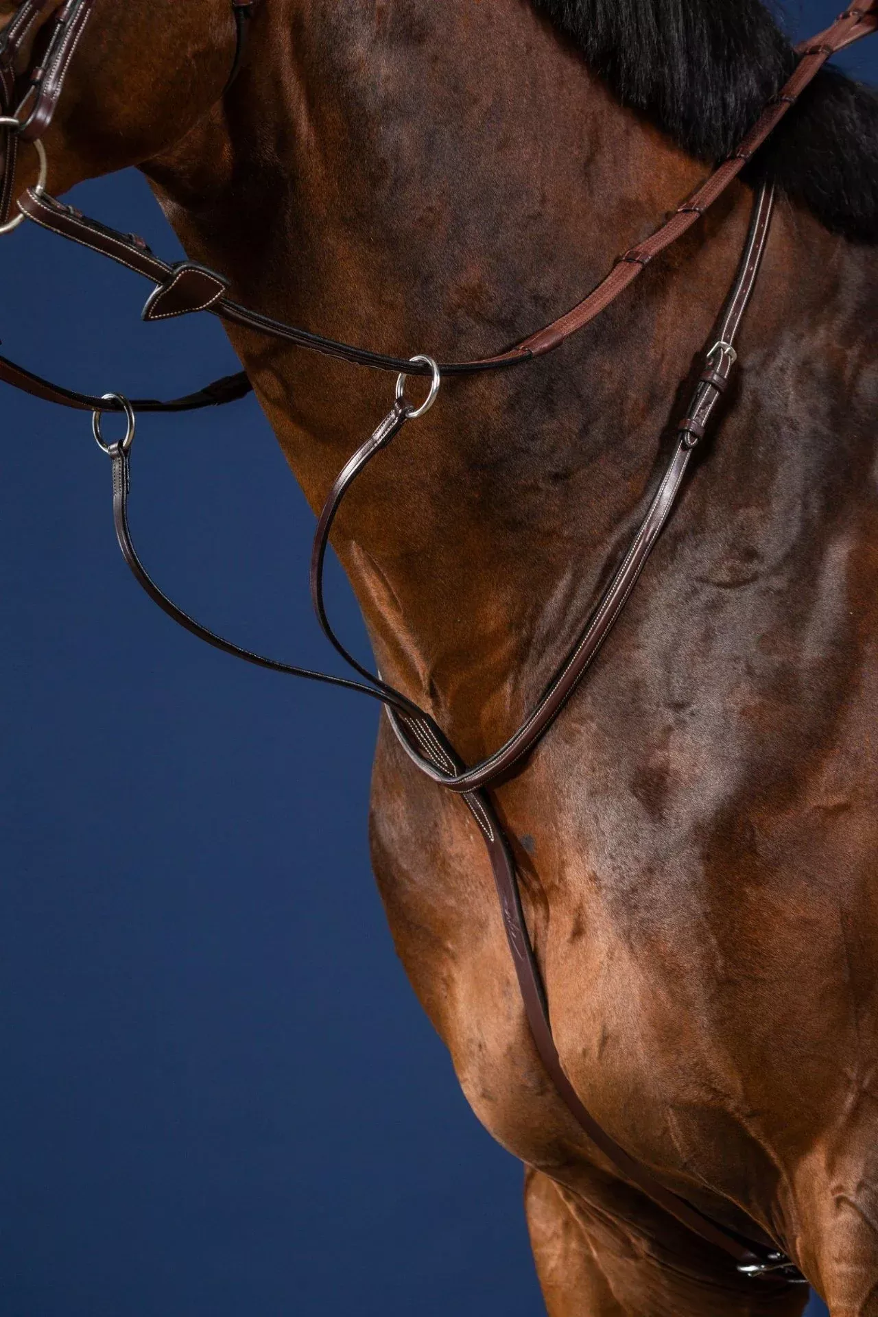 US Collection Running Martingale