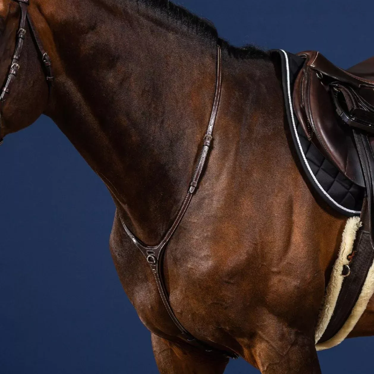 US Collection Yoke Martingale
