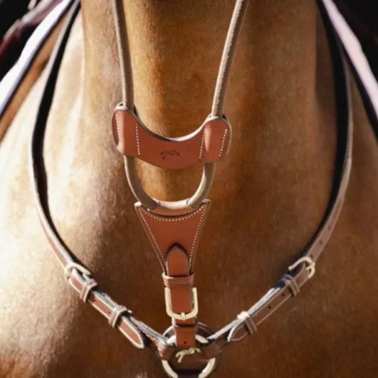 US Martingale Fork Elastic