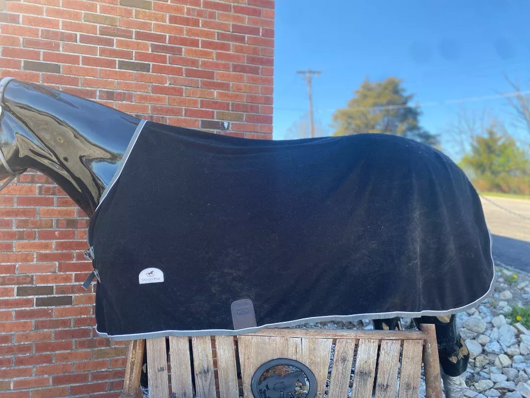USED Smart Pak Coolers Horse Blank w/ Silver Piping