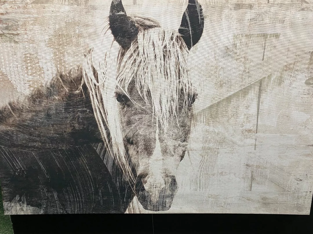 USEDHorse Portrait Canvas Wall Art 36x24 Grey