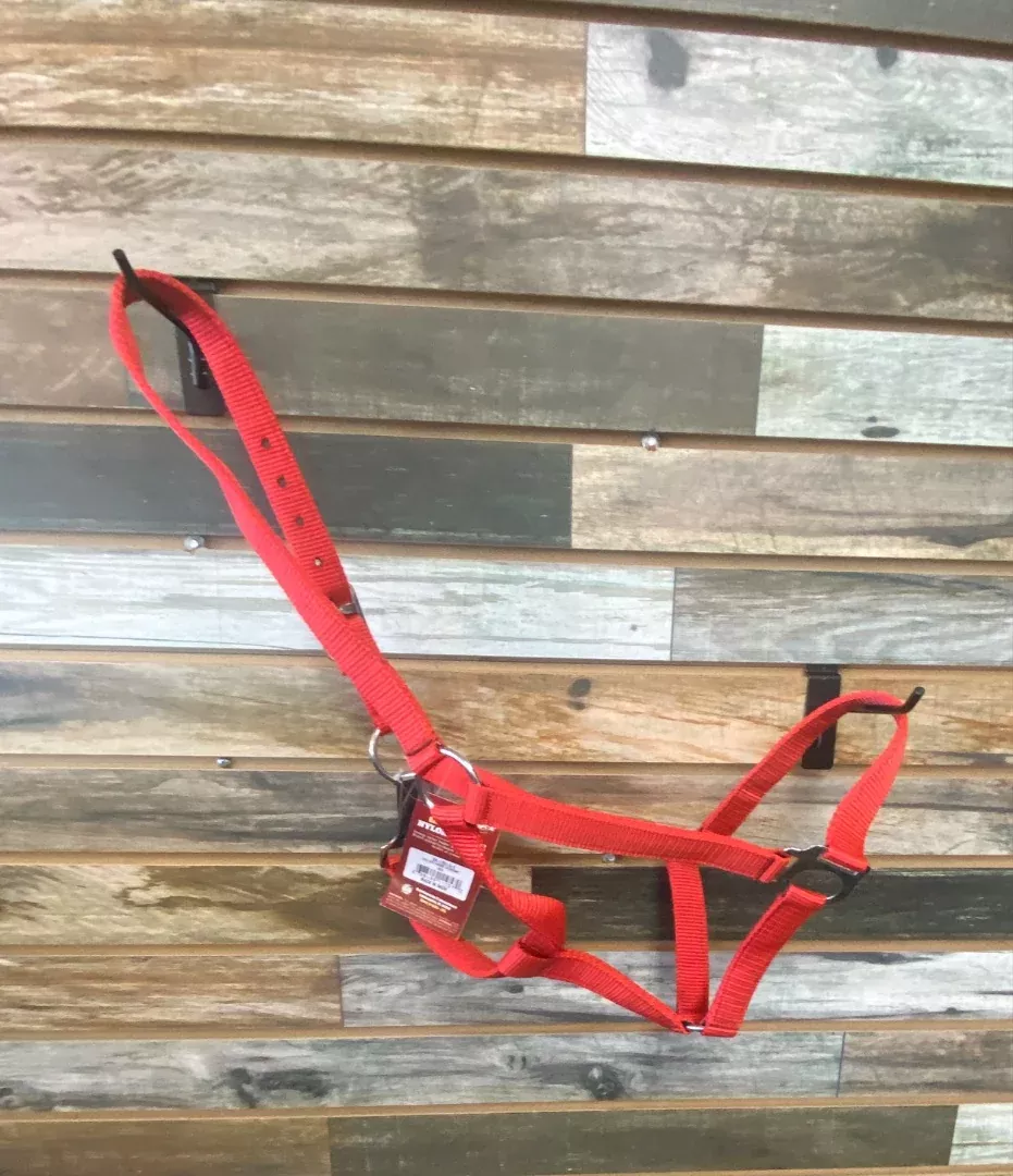 USEDNWT Tough 1 Economy Nylon Halter, Red