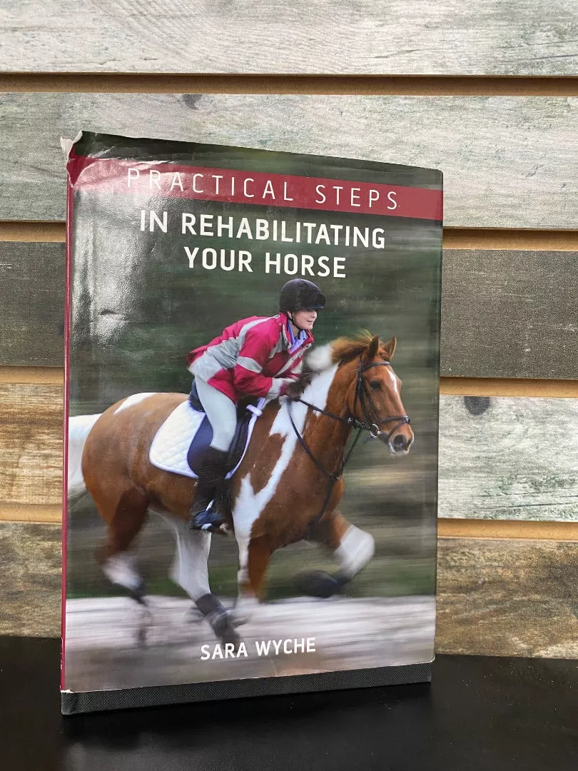 USEDPractical Steps in Rehabilitating your Horse