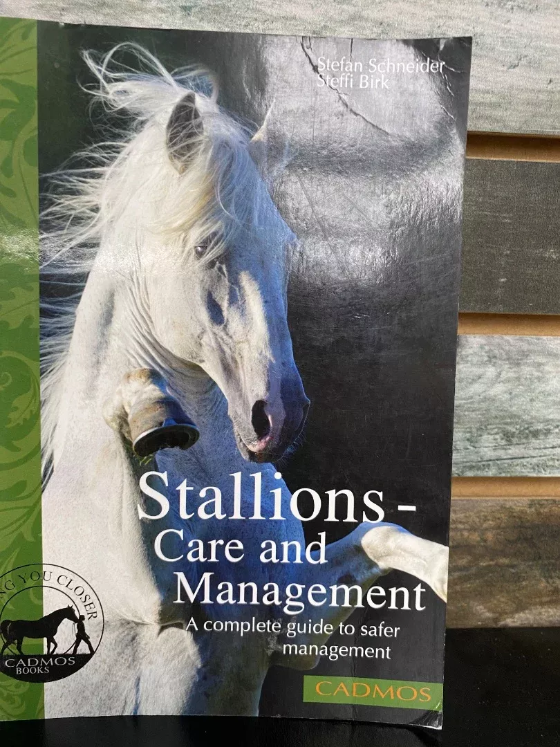 USEDStallions-Care and Management