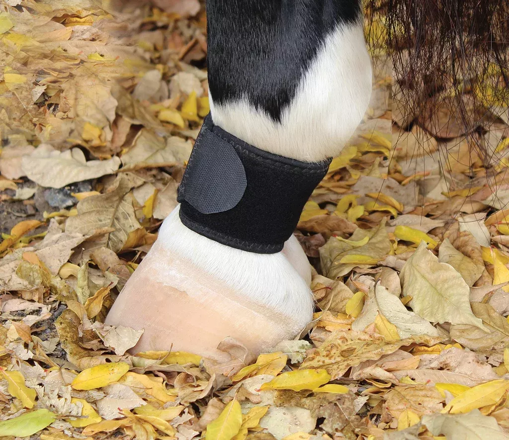 VenTECH Pastern Wrap