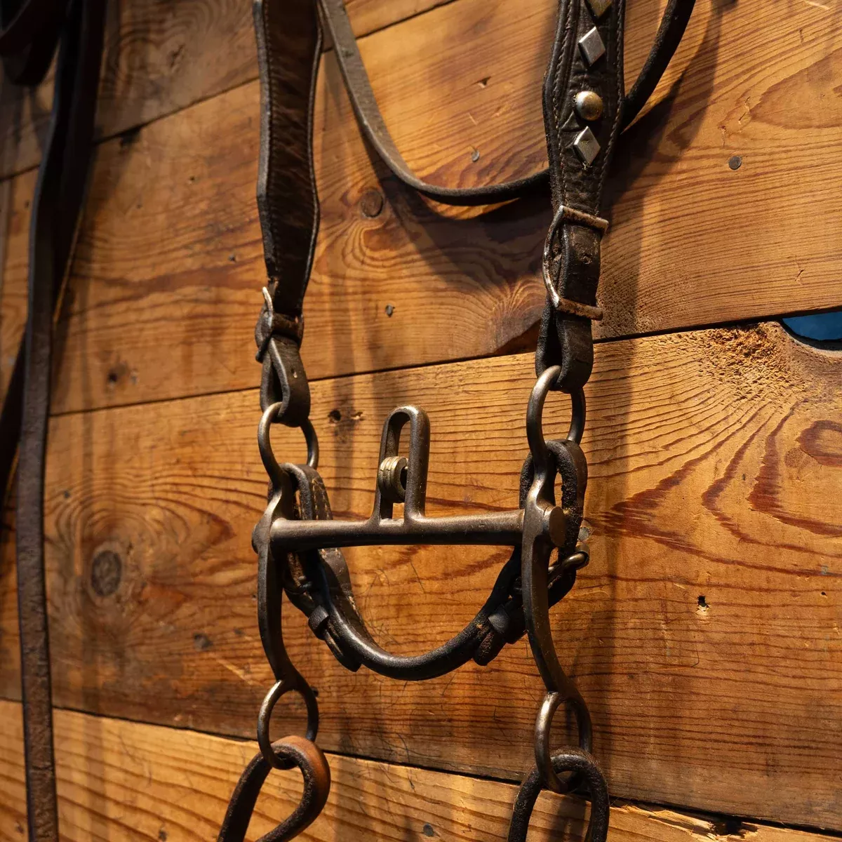 Vintage Silver Diamond & Dot accents Bridle Rig w/ a Buerman Bit