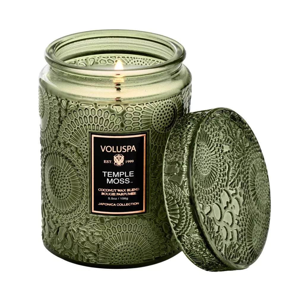 Voluspa Temple Moss Small Jar Candle