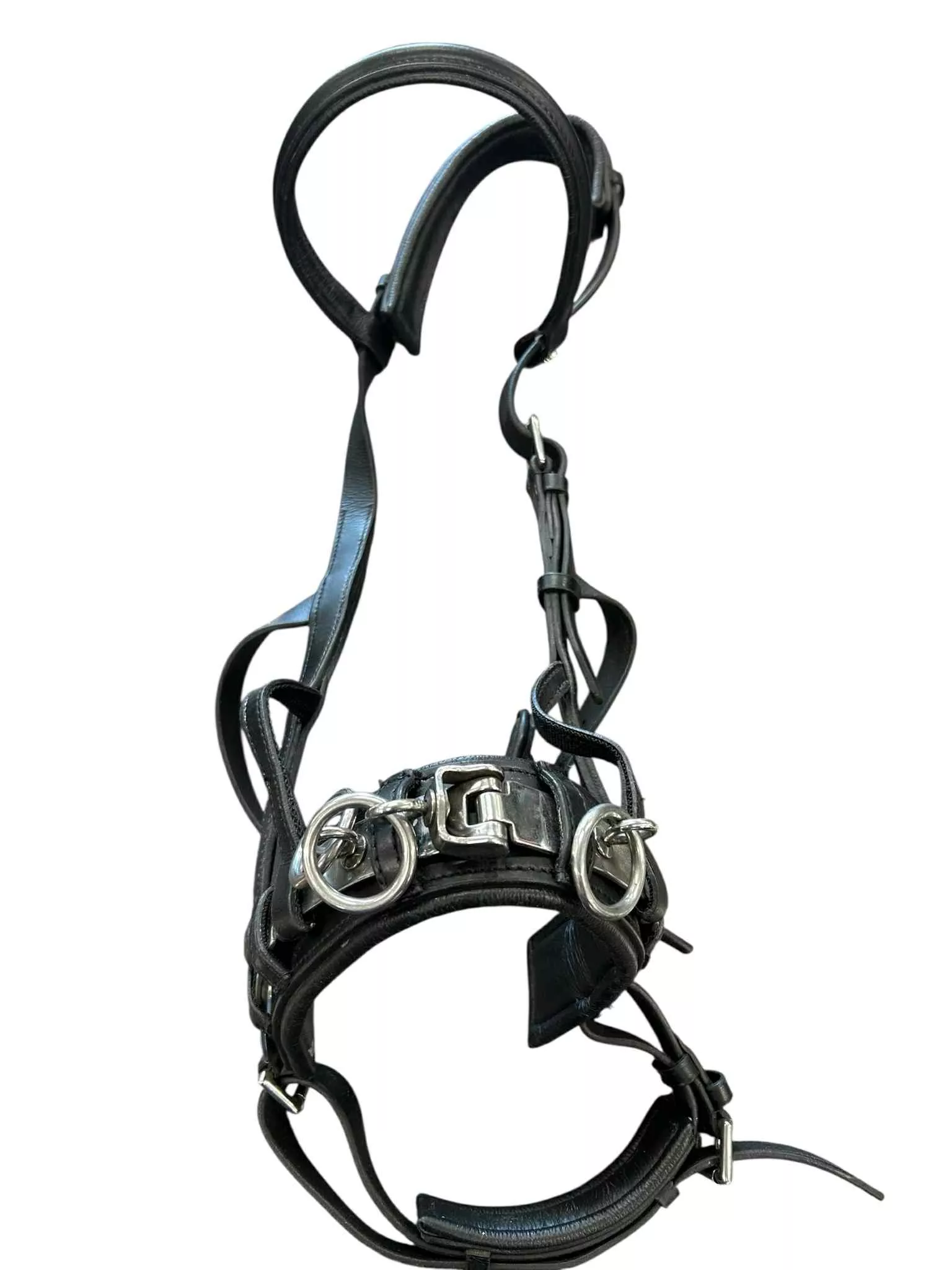 Waldhausen Lunging Wembley Leather Cavesson - Black - Full Size - USED