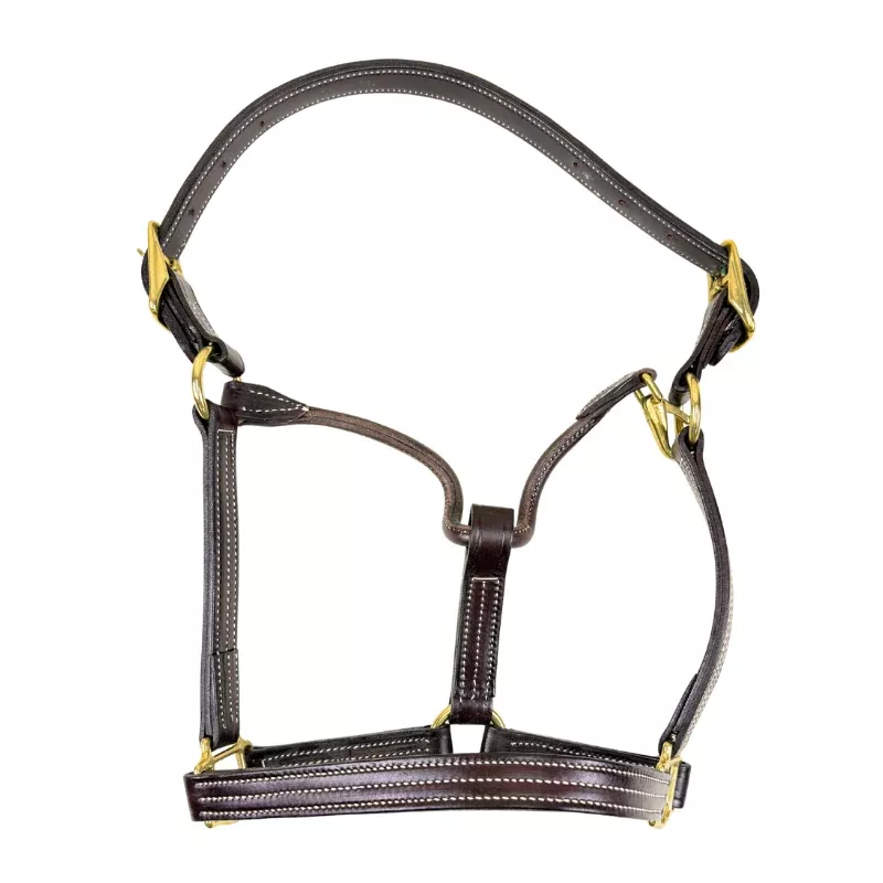 Walsh Triple Stitch British Leather Halter in Brown - Cob