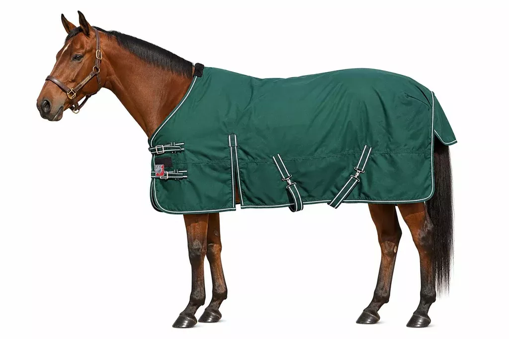 Waterproof Horse Turnout Blanket – Medium Weight Winter
