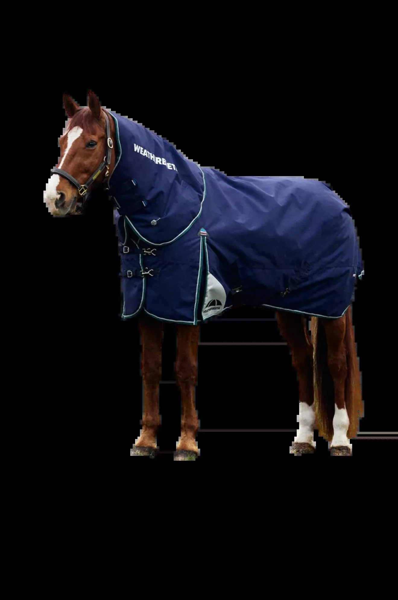 WB Comfitec Plus Dynamic Detach-A-Neck