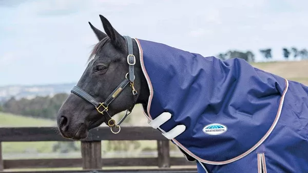WeatherBeeta ComFiTec Essential Hood- Lite (0g)
