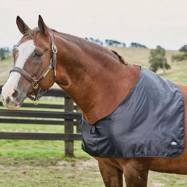Weatherbeeta Satin Anti Rub Vest