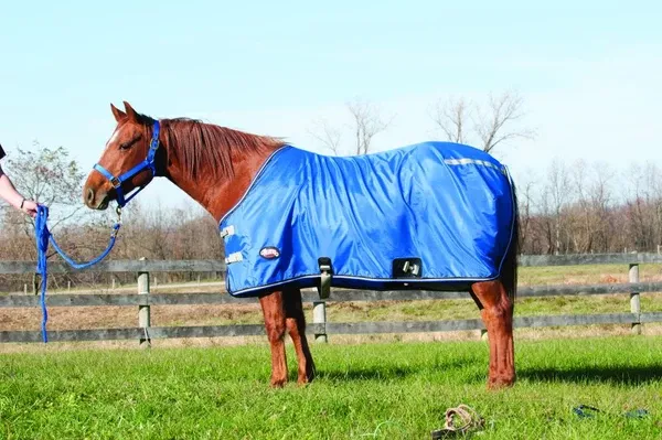Weaver Nylon Stable Sheet