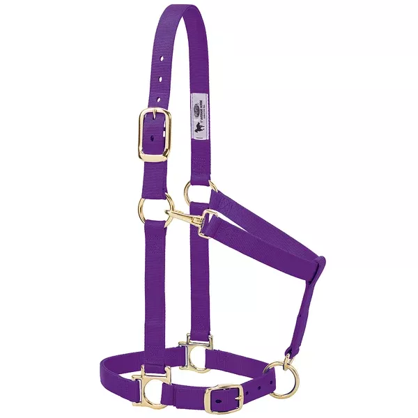 Weaver Purple Nylon Basic Adjustable Chin And Throat Snap Horse Halter