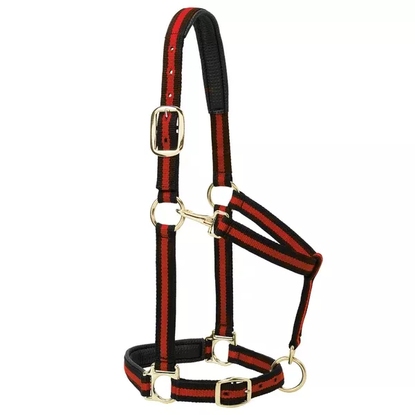 Weaver Red Padded Adjustable Chin And Throat Snap Halter Average Horse