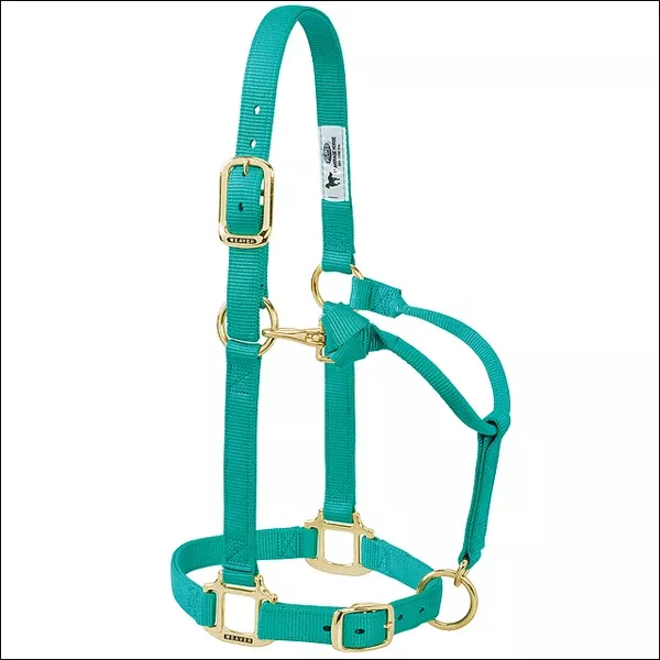 Weaver Western Tack Adjustable Horse Halter 1" Average Brass Snap Green