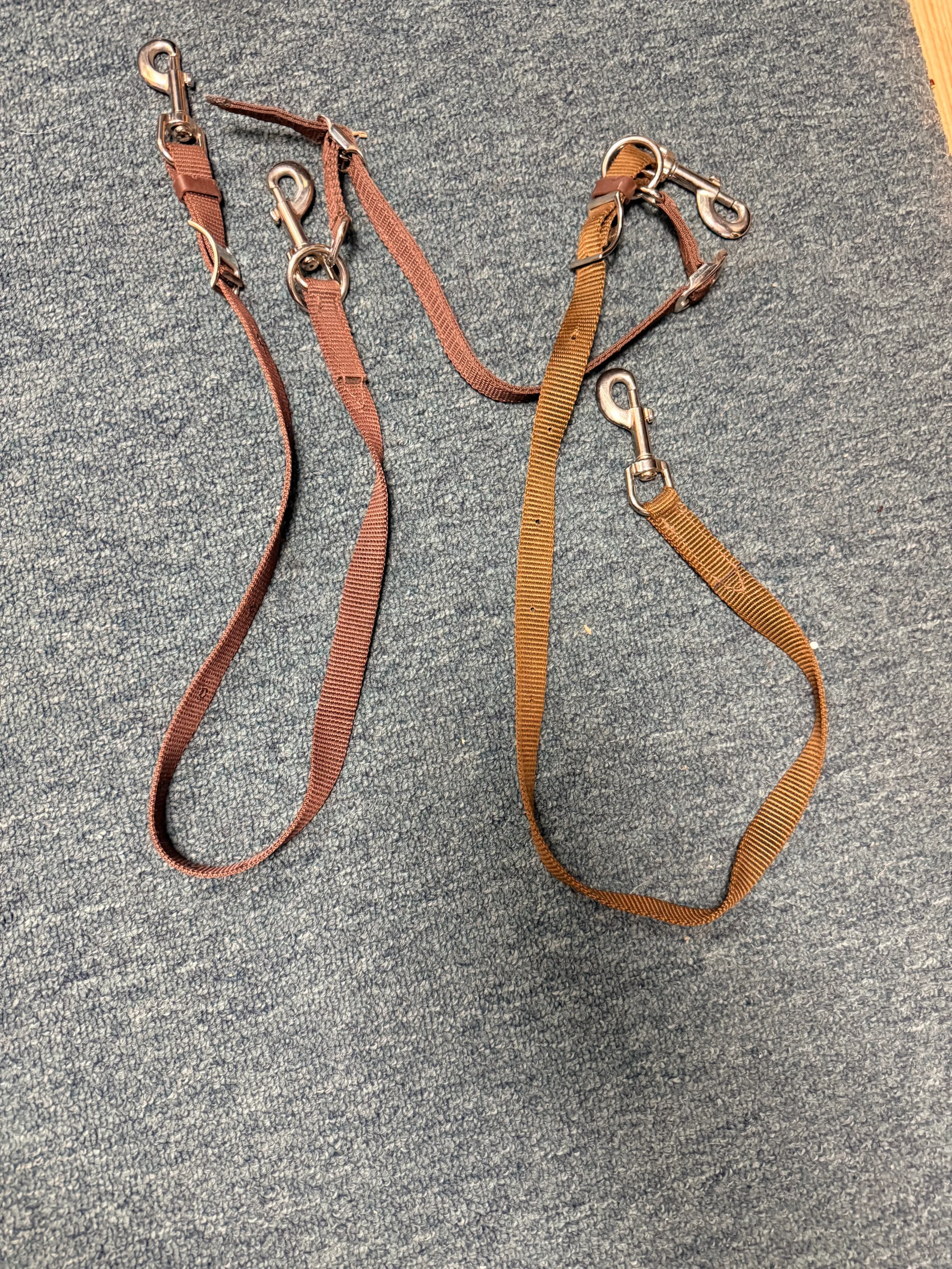 web anti Grazing reins