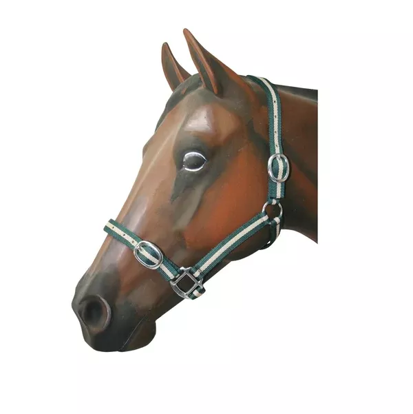 Web Halter | Nickel Fittings