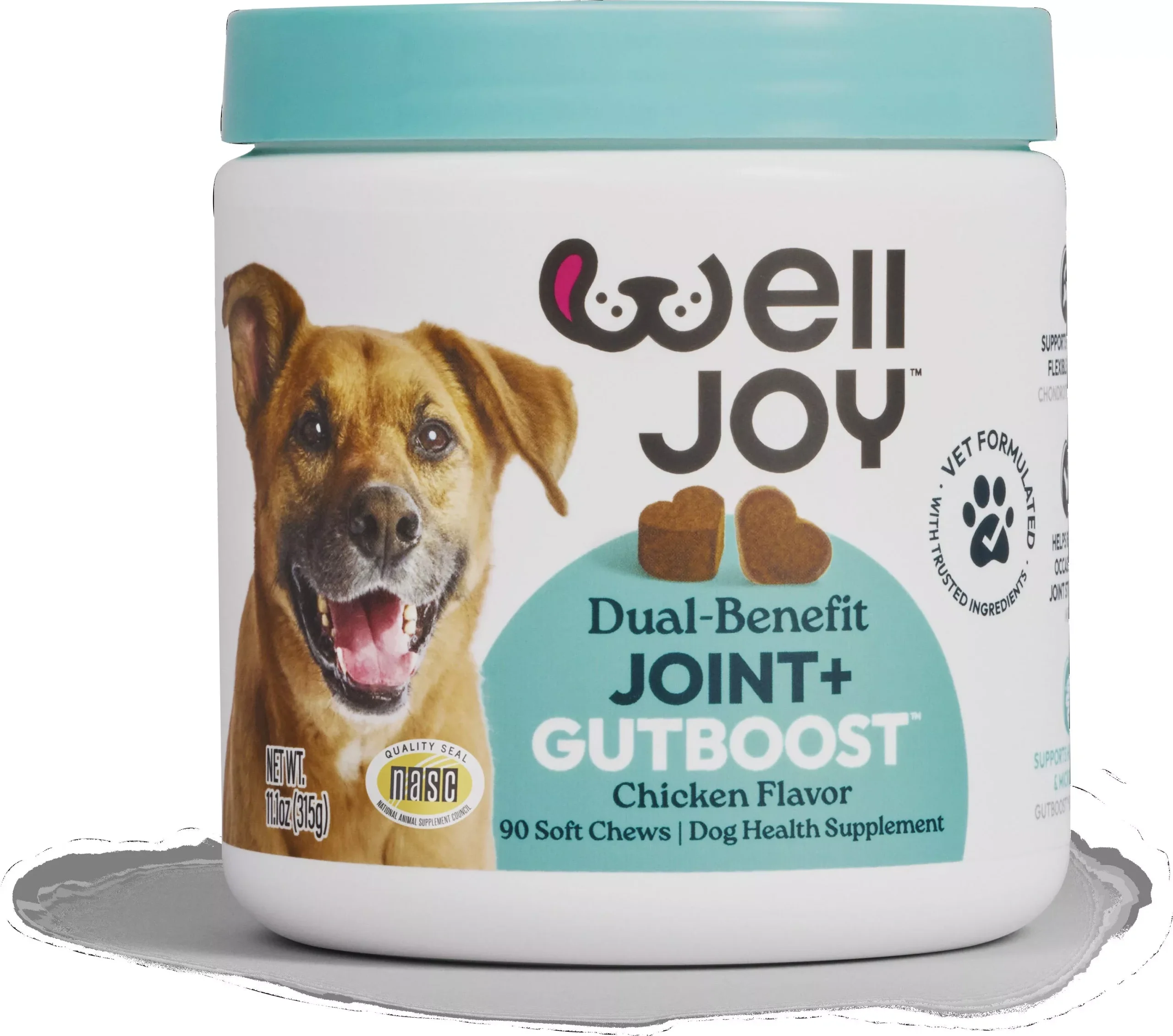 WellJoy Joint + GutBoost Dog Supplement, 11.1 oz