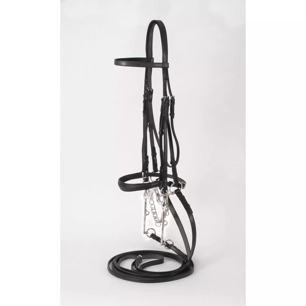 Weymouth Show Bridle – Full