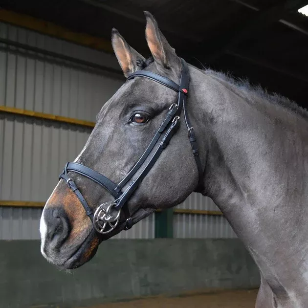 Whitaker Ready To Ride Snaffle Bridle