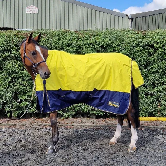 Whitaker Turnout Rug Hornsea 0g Yellow