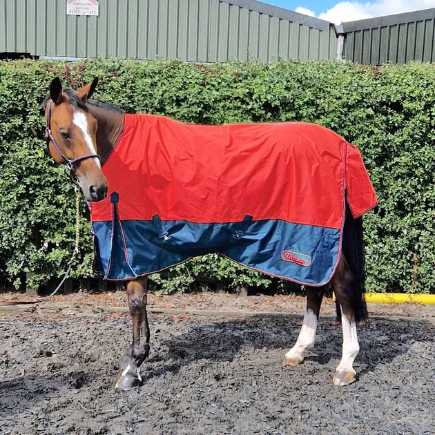 Whitaker Turnout Rug Rudston 50g Red
