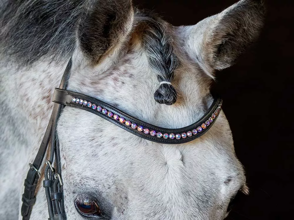 Winter Flower Browband