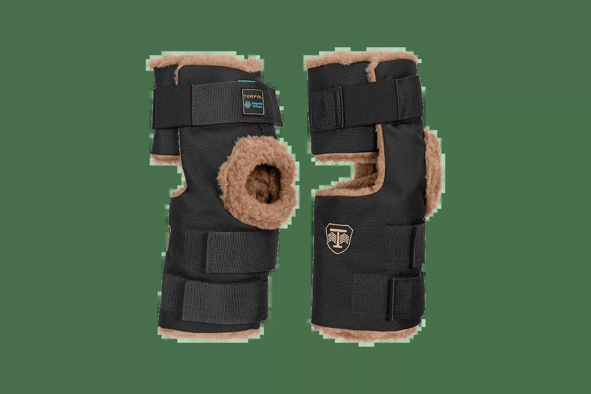 Wool Magnetic Hock Boots