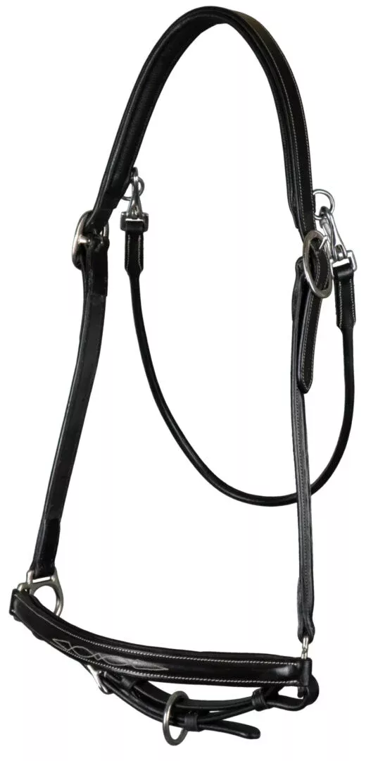 Working by Dy'on Grooming Head Collar Rolled Leather