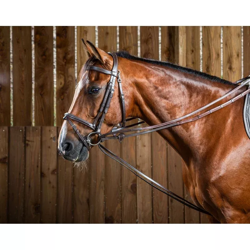 Working by Dy'on Hunter Draw Reins