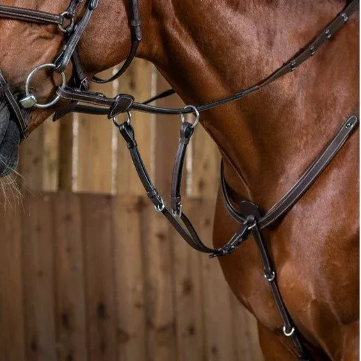 Working by Dy'on Running Martingale Attachment