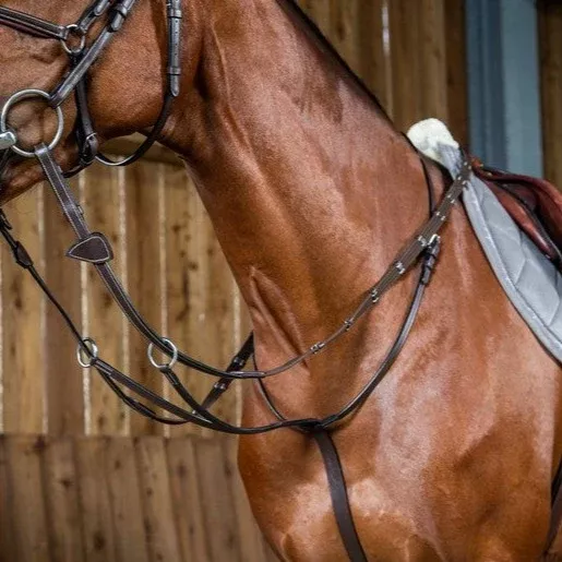 Working by Dy'on Running Martingale