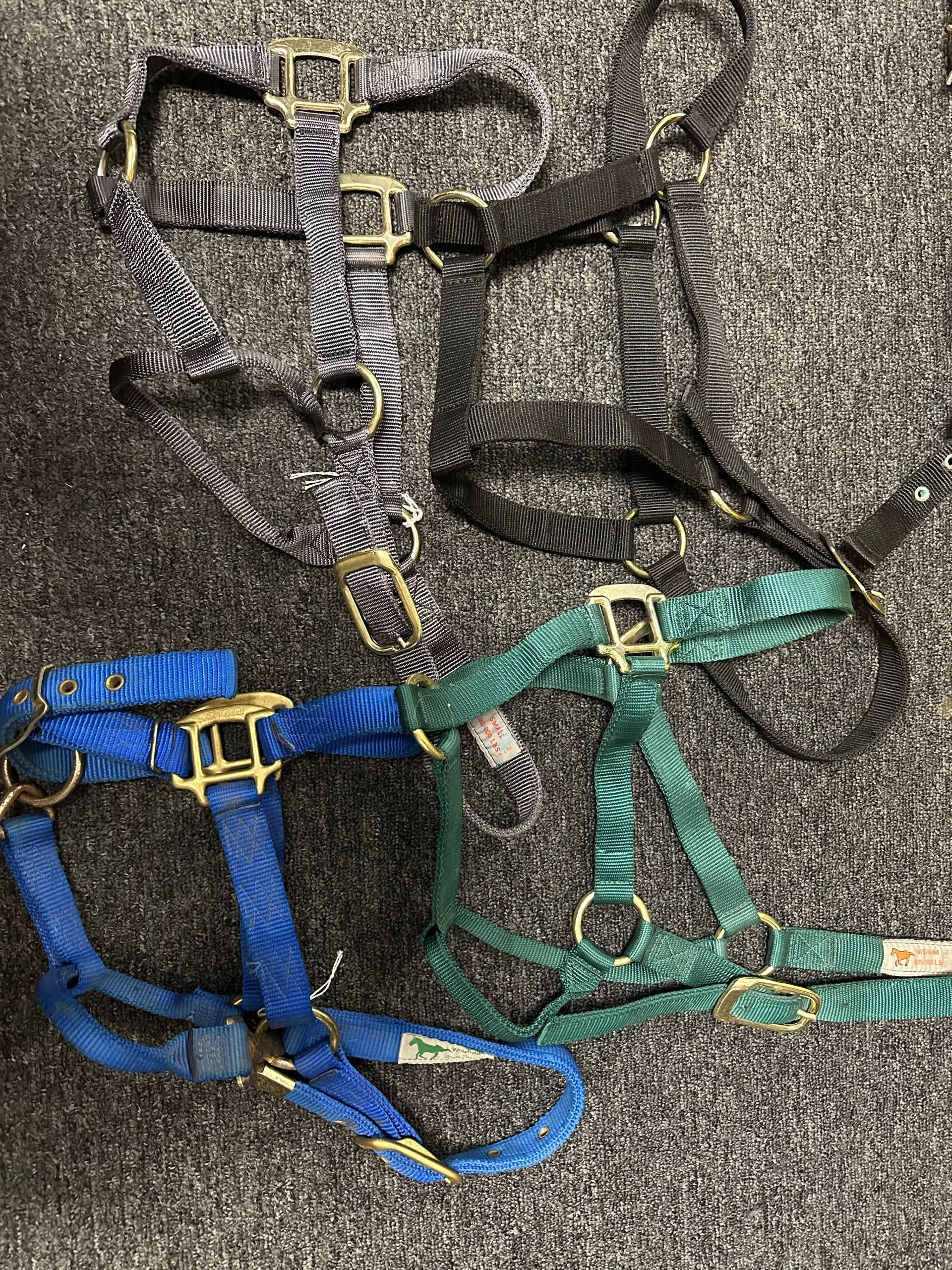 Yearling Halters Nylon Assorted