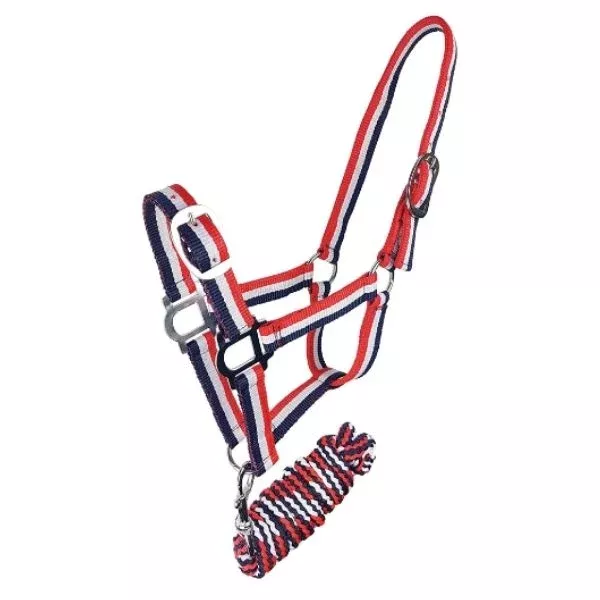 Zilco Brite Halter