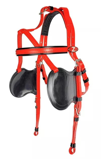 Zilco Pony Trot Bridle & Blinds
