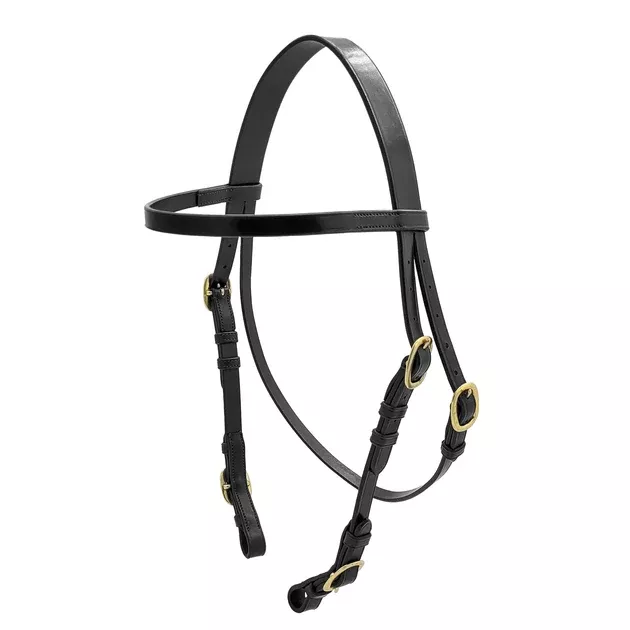 Zilco Track Wise Open Race Bridle