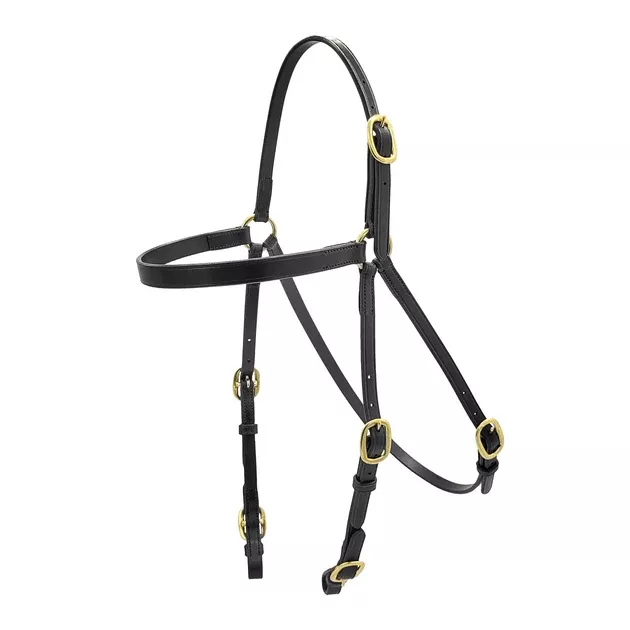 Zilco Track Wise Ring Head Race Bridle